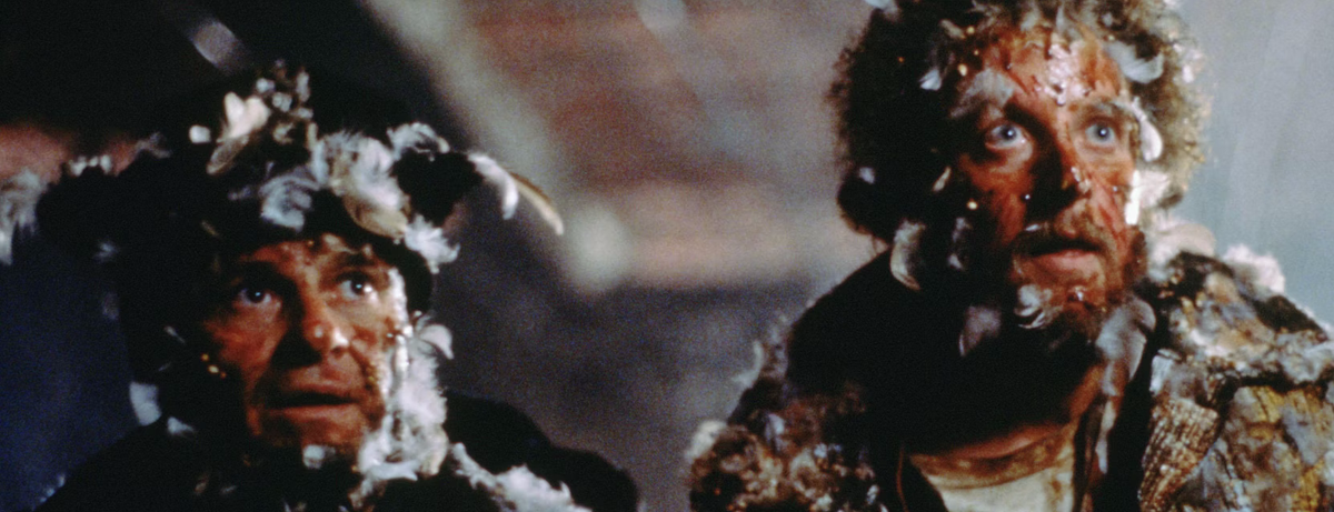 Home Alone’s ‘Wet Bandits’ are medical miracles!