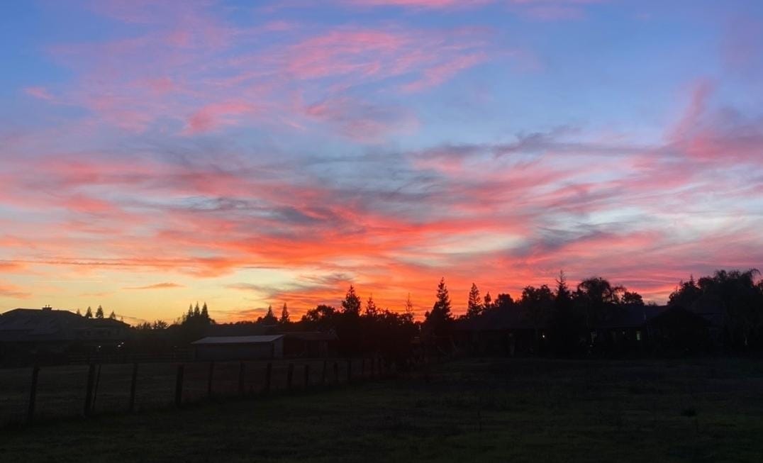 Rural Roots Sunday - Growing up in Elk Grove's Rural Area