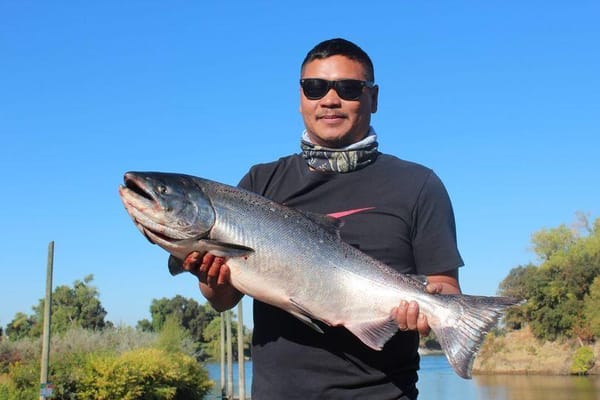 Salmon and Water Groups Respond to Closure of California Commercial Salmon Fishing for Third Year