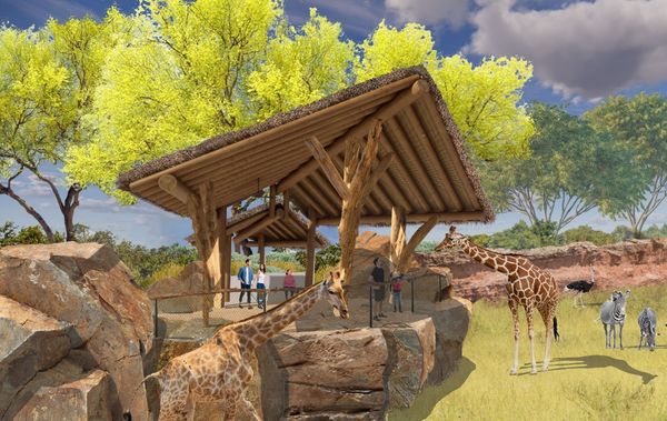 How Elk Grove City Councilman Darren Suen threw a monkey wrench into the zoo naming