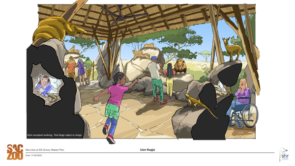 Documents show Sacramento Zoological Society, Elk Grove had champagne tastes on a beer budget for zoo relocation