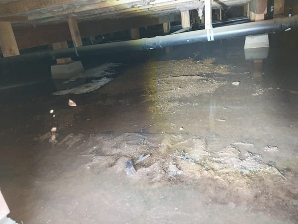 Voices of Elk Grove - Rural Resident Says They Never Had Drainage Problems, "Now We're Flooded"