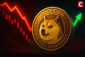 The Results of a 5 Year $45 Meme Coin Experiment