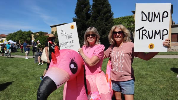 Largest Yet #NoKings Protest in Elk Grove Draws Huge Audience - Pictures and Videos