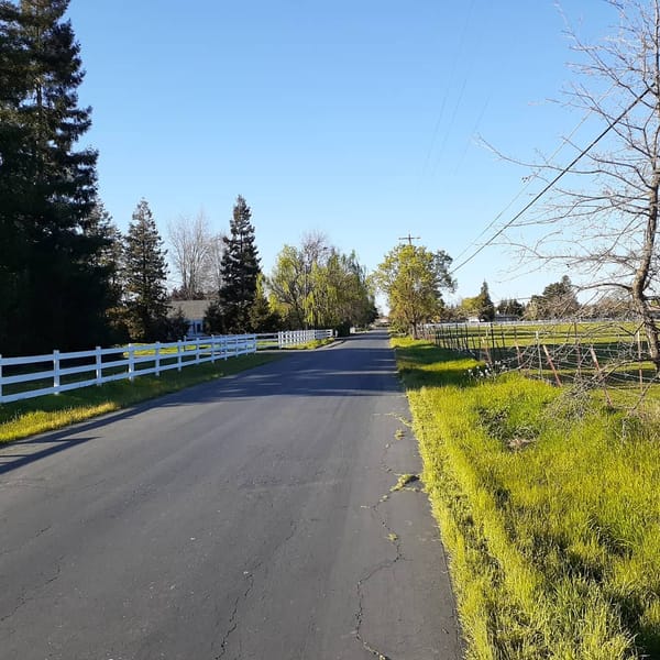 Rural Roots Sunday - Why we decided to live in Rural Elk Grove